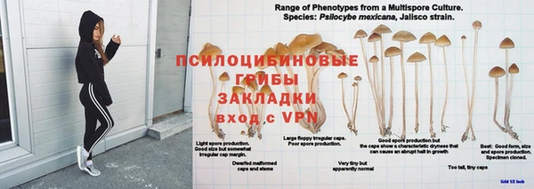 экстази Белокуриха