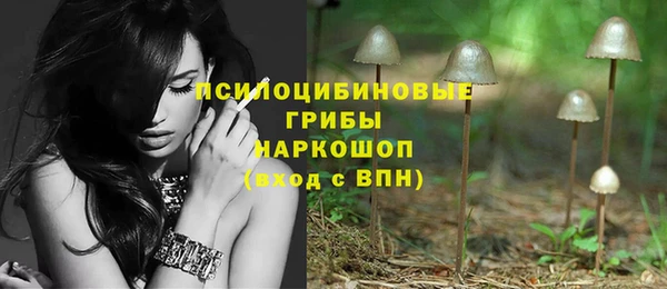 экстази Белокуриха